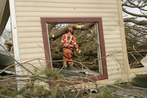 Best Hazardous Tree Removal  in Dunlap, OH
