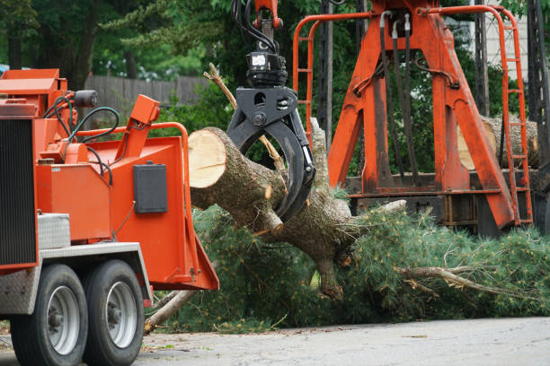 Mulching Services in Dunlap, OH